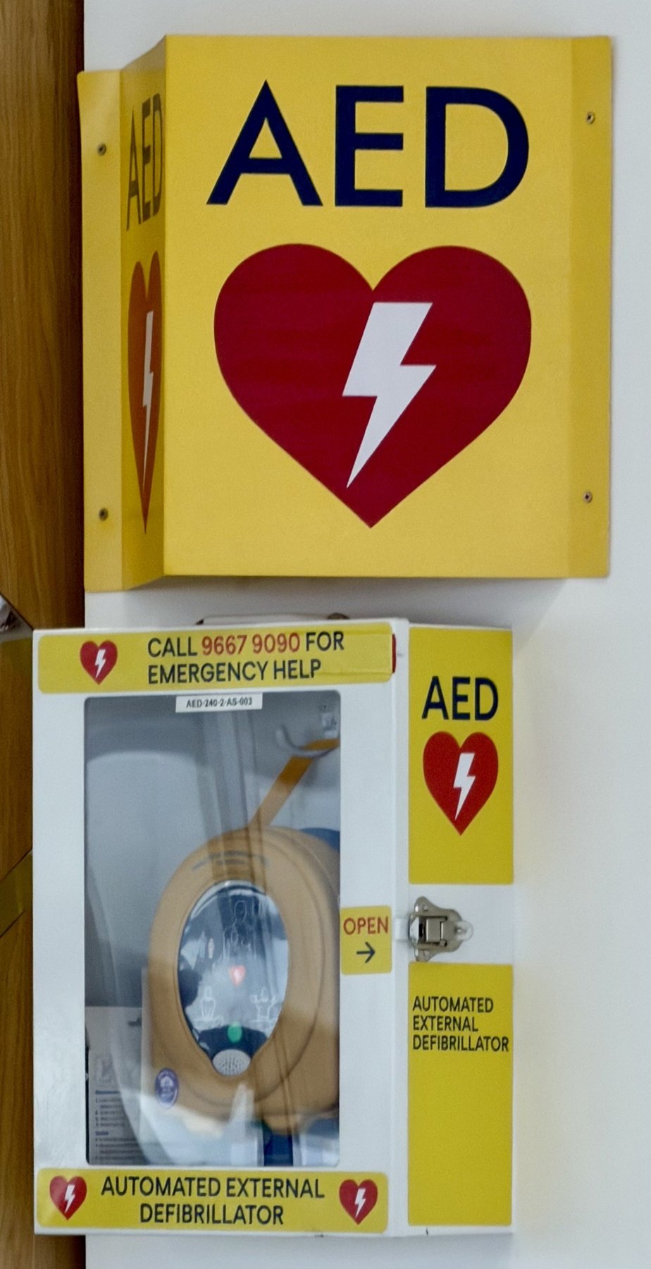 AED mounted in a public wall cabinet